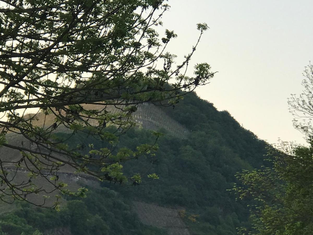 Gaestezimmer Klein Und Fein Fuer Nach Dem Wein Neumagen-Dhron Exteriér fotografie